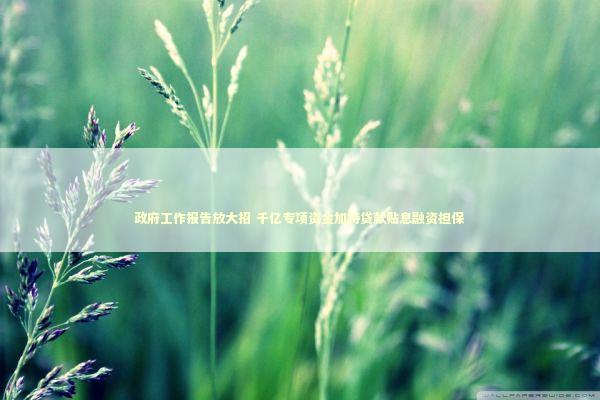 政府工作报告放大招 千亿专项资金加持贷款贴息融资担保
