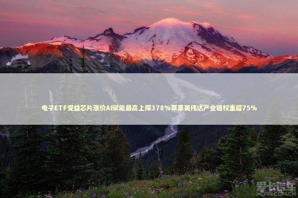 电子ETF受益芯片涨价AI赋能最高上探378%苹果英伟达产业链权重超75% 电子ETF受益芯片涨价AI赋能最高上探378%苹果英伟达产业链权重超75% 新闻