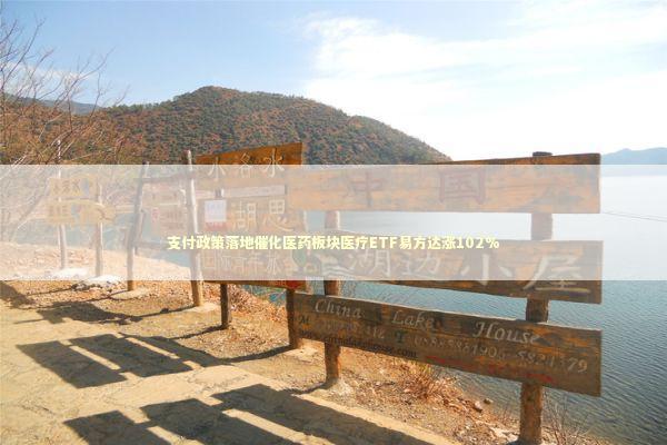 支付政策落地催化医药板块医疗ETF易方达涨102%
