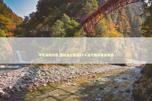 中东局势升级 国际油价暴涨13%油气板块集体涨停 中东局势升级 国际油价暴涨13%油气板块集体涨停 新闻