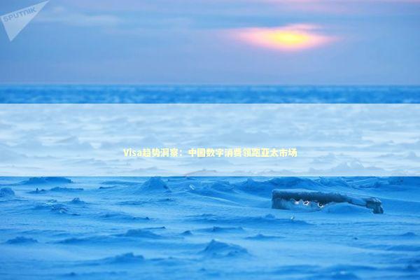 Visa趋势洞察：中国数字消费领跑亚太市场