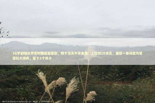 36岁副镇长开会时脑出血晕倒，除夕当天不幸离世：上任仅10余天，最后一条动态为督促社火排练，留下3个孩子 新闻