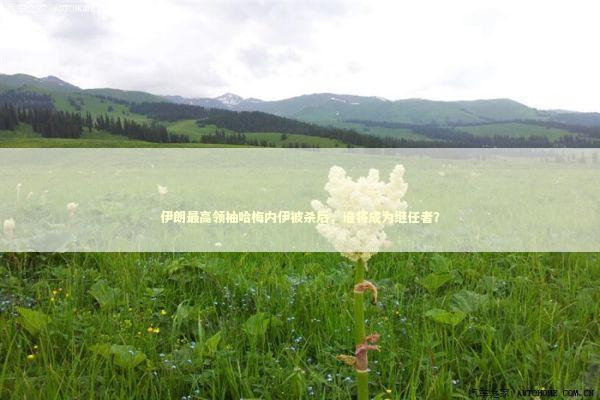 伊朗最高领袖哈梅内伊被杀后,谁将成为继任者? 伊朗最高领袖哈梅内伊被杀后,谁将成为继任者? 新闻