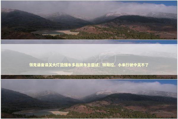 领克语音误关大灯致撞车多品牌车主尝试：特斯拉、小米行驶中关不了 新闻