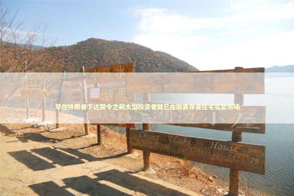 早在特朗普下达禁令之前大型投资者就已在撤离存量住宅买卖市场 新闻