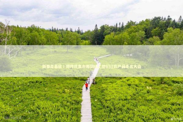 新春走基层丨把传统集市搬到线上他们让农产品走出大山 新春走基层丨把传统集市搬到线上他们让农产品走出大山 新闻