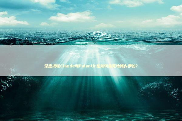 深度揭秘Claude和Palantir是如何杀死哈梅内伊的？ 新闻