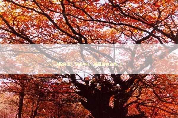 A股突发!600481,被证监会立案_1 A股突发!600481,被证监会立案_1 新闻