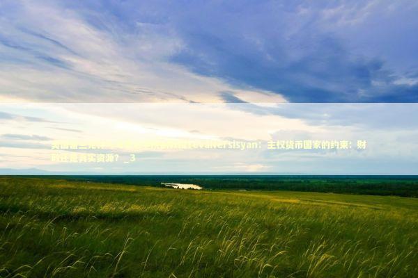 美国富兰克林与马歇尔学院副教授YevaNersisyan：主权货币国家的约束：财政还是真实资源？_3