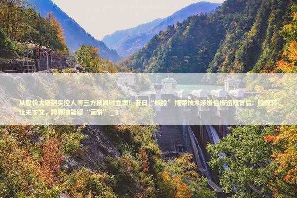 从股价大涨到实控人等三方被同时立案！昔日“妖股”捷荣技术涉嫌信披违规背后：股权转让无下文，跨界储能疑“画饼”_3