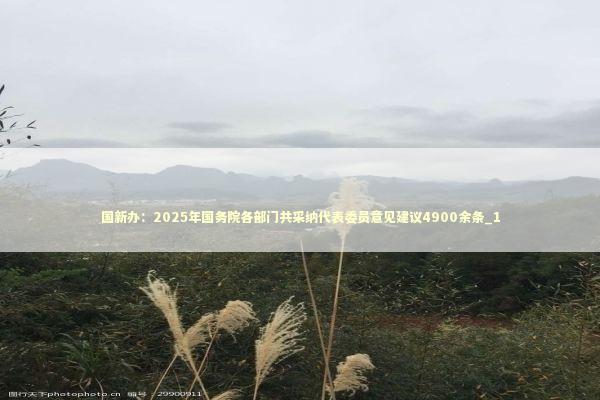 国新办：2025年国务院各部门共采纳代表委员意见建议4900余条_1