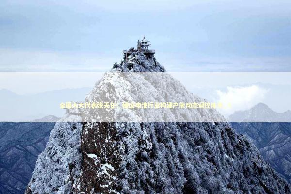 全国人大代表张天任：建议电池行业构建产能动态调控体系_3