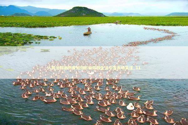 人民法院案例库如何影响你我生活引发市场关注_11