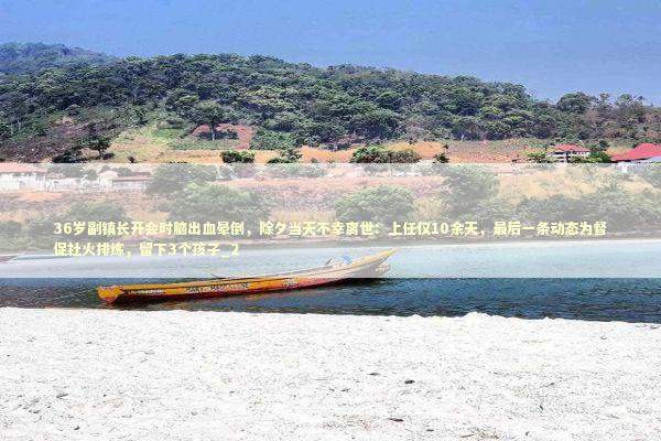 36岁副镇长开会时脑出血晕倒，除夕当天不幸离世：上任仅10余天，最后一条动态为督促社火排练，留下3个孩子_2 新闻