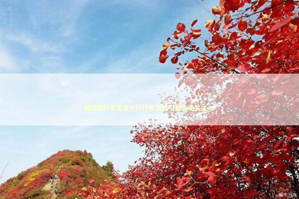 邮储银行多家省分行行长调整引发市场关注_8