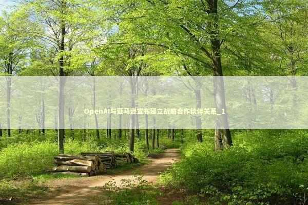 OpenAI与亚马逊宣布建立战略合作伙伴关系_1