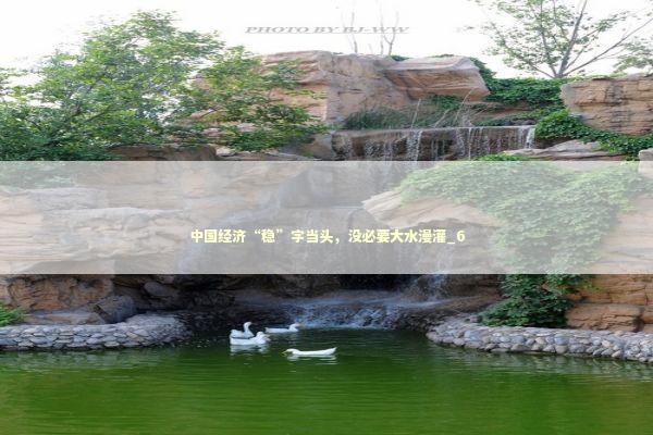 中国经济“稳”字当头，没必要大水漫灌_6