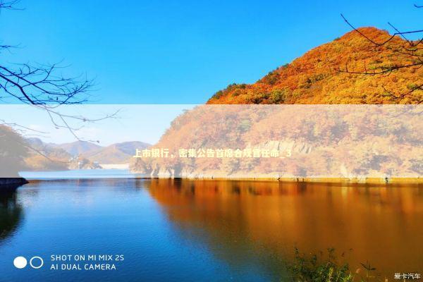 上市银行，密集公告首席合规官任命_3