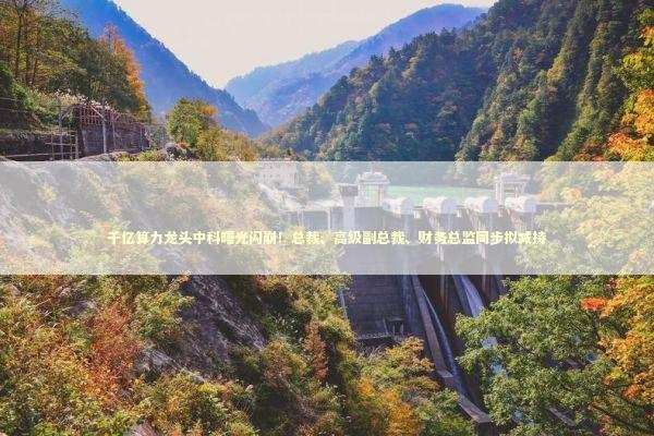 千亿算力龙头中科曙光闪崩！总裁、高级副总裁、财务总监同步拟减持