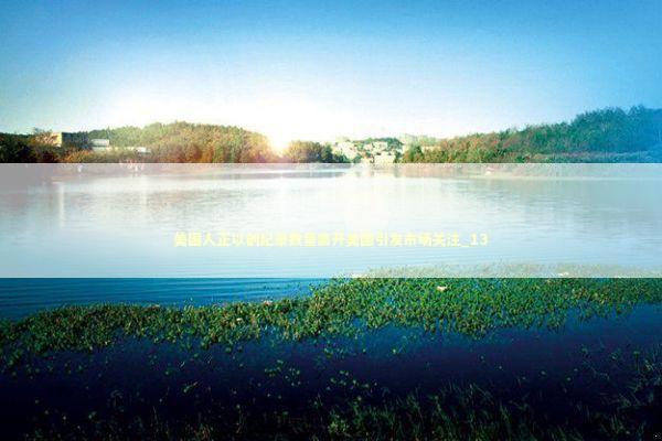 美国人正以创纪录数量离开美国引发市场关注_13