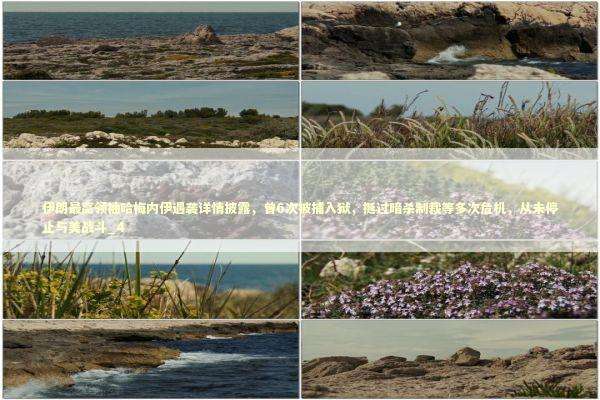 伊朗最高领袖哈梅内伊遇袭详情披露,曾6次被捕入狱,挺过暗杀制裁等多次危机,从未停止与美战斗_4 伊朗最高领袖哈梅内伊遇袭详情披露,曾6次被捕入狱,挺过暗杀制裁等多次危机,从未停止与美战斗_4 新闻