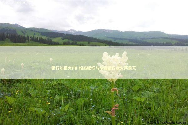 银行年报大PK 招商银行与华夏银行冰火两重天