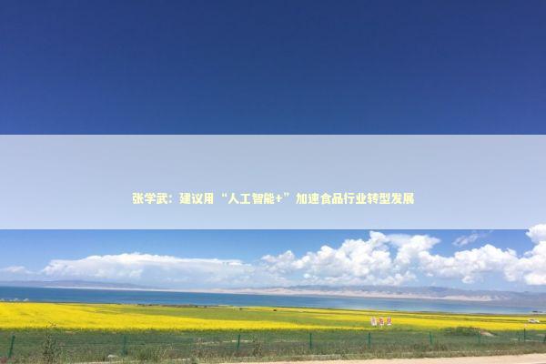张学武：建议用“人工智能+”加速食品行业转型发展