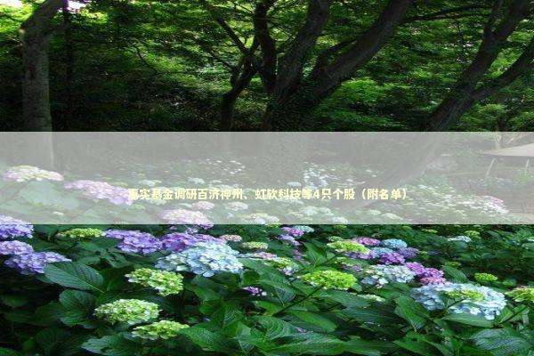 嘉实基金调研百济神州、虹软科技等4只个股（附名单）