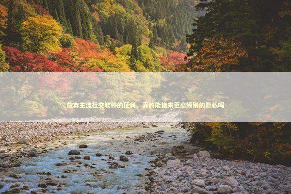 放弃主流社交软件的便利，真的能换来更高级别的隐私吗